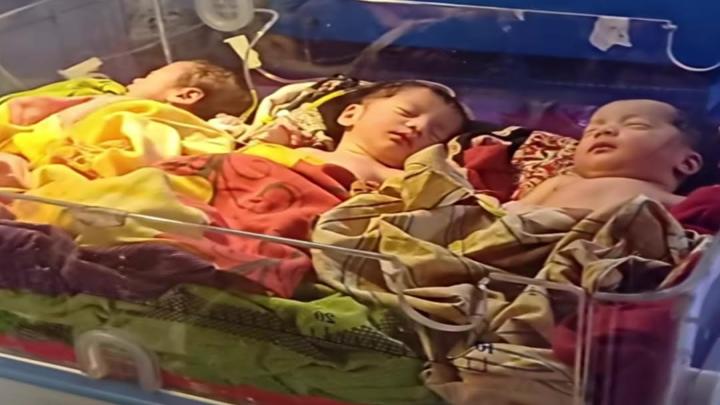 পঞ্চগড়ে এক সঙ্গে তিন জমজ শিশুর জন্ম দিলেন গৃহবধূ